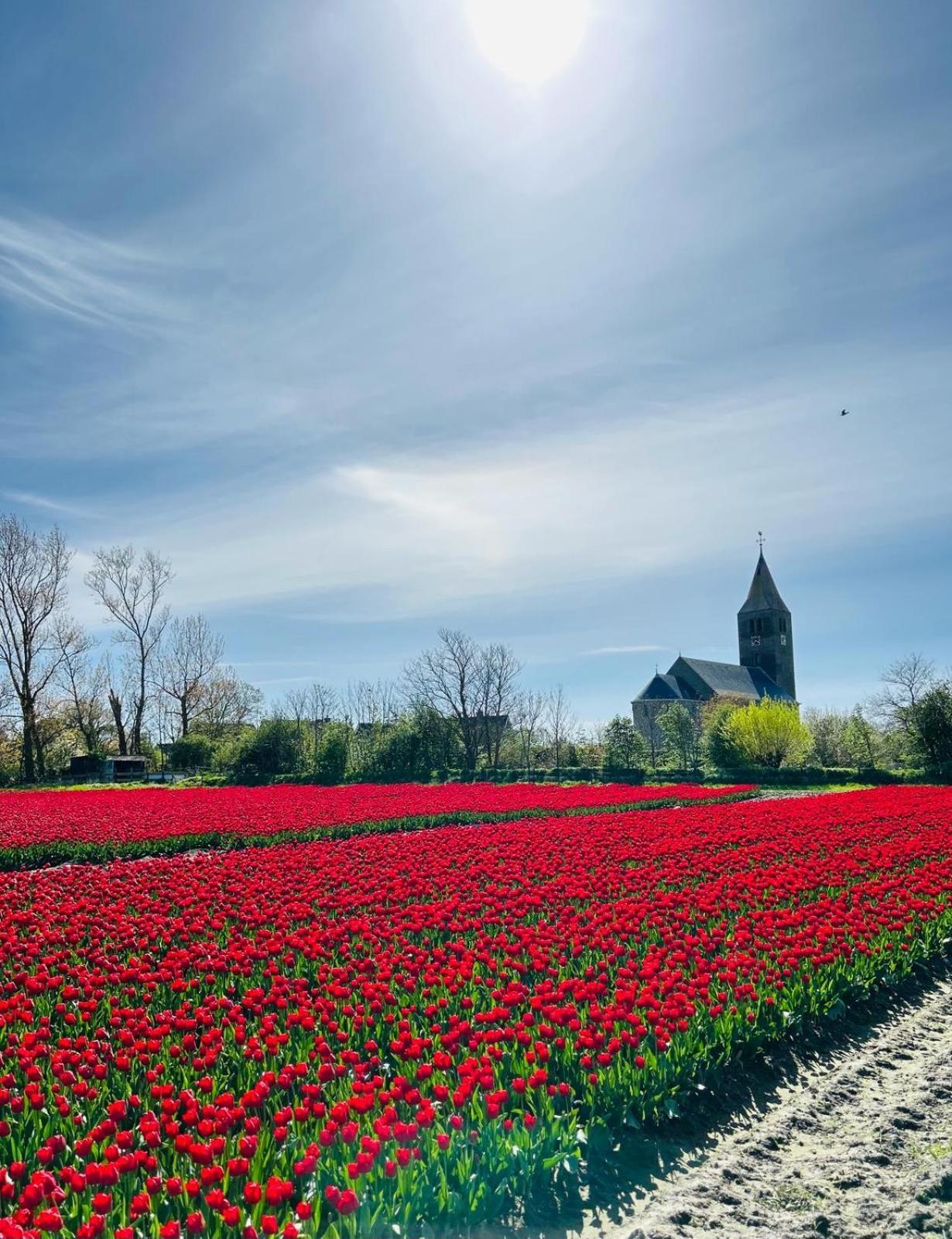Nieuwland 3* Den Oever