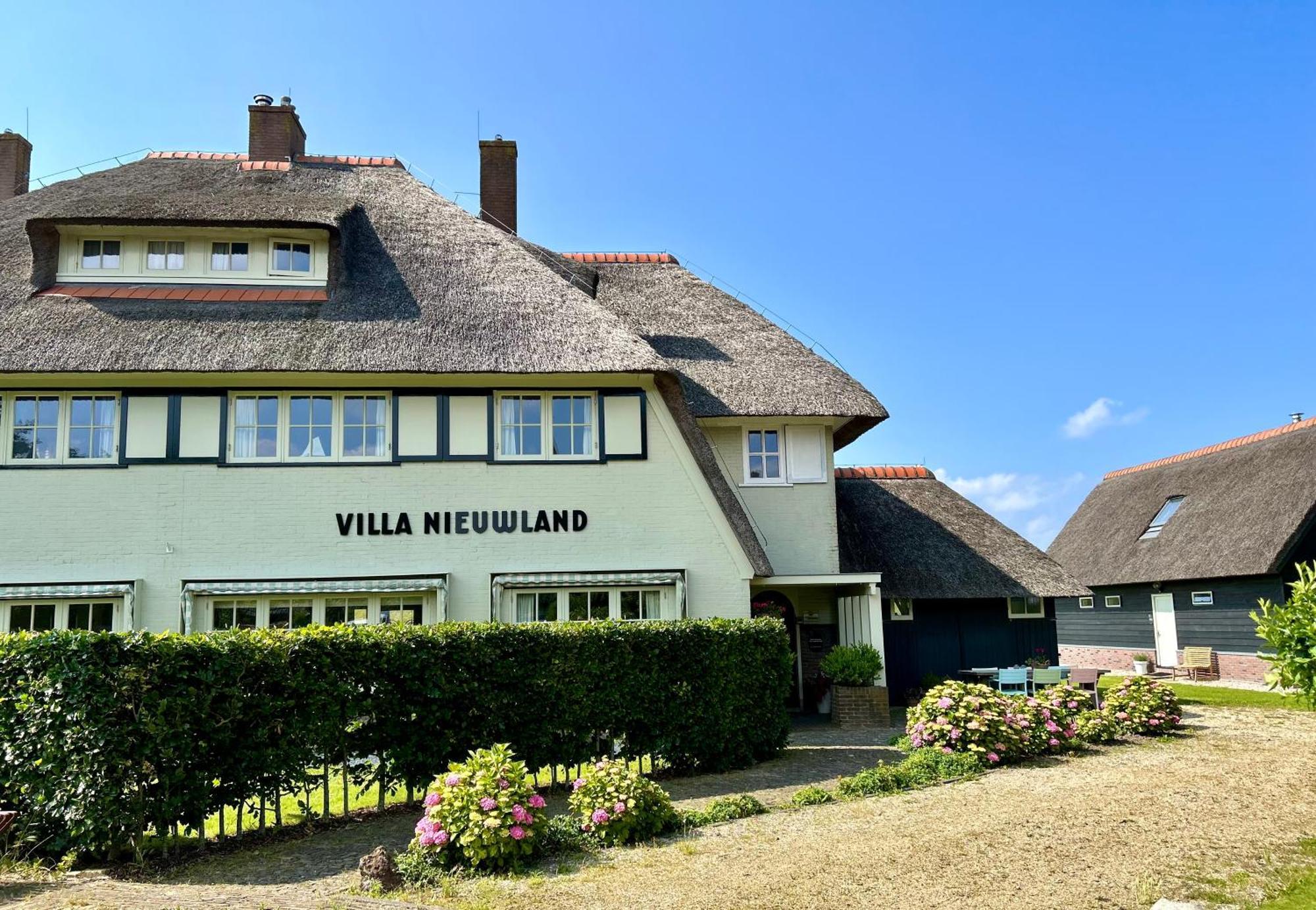 Nieuwland